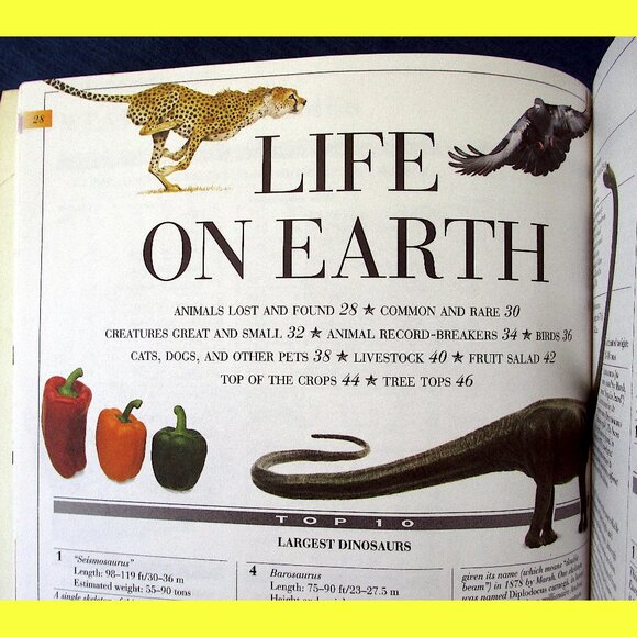 Book: The Top 10 of Everything by Russell Ash - Picture 6 of 14